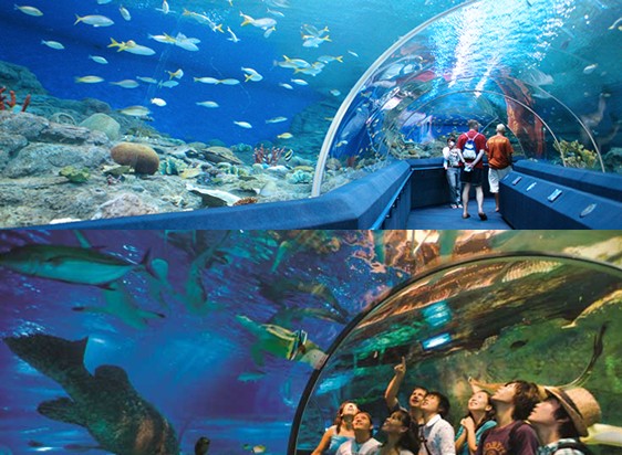 關島海底世界水族館 關島海底世界水族館