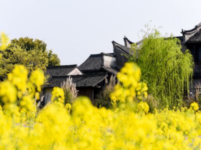 行程照片