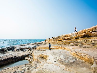 【獨家和歌山包機.大阪輕旅行雙溫泉5日】梅酒DIY體驗+貓站長電鐵浪漫夕陽百選+三段壁西日本最大海鮮市場人氣湯淺醬油