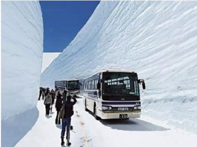 ¬P¦t¯èªÅ¡i¥ß¤s¶Â³¡³·Àð~¯»½ºµµÃêÛÄå½àªá6¤é¡j¥@¬É¤å¤Æ¿ò²£¥Õ¤t¶m¦X´x§ø¯«¤§¬G¶m¤W°ª¦a®üÀؤ½¶é¯»½ºªá¨¬§Qªá¥c¤½¶éµµÃêá´I¤hªÛÄå²½