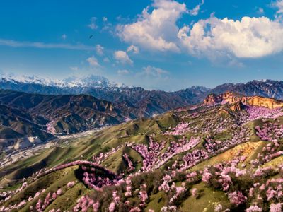 i}_æ Rڧj ƥyҹ10()