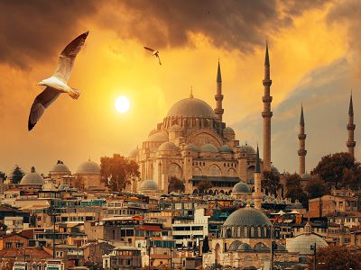 褭Pgը dh_ }޶ ŦMux10