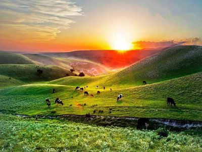 �i�j�����X�j �ƩԿp�����j��ƥ�y�ҹ�8��(�د�)