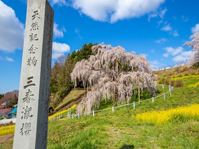 �����ši����ʿ�W�ҡ�F�_�����j�Y6��j