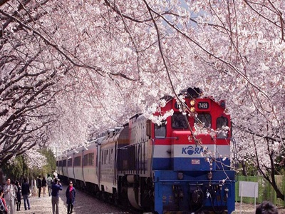 �i�w���ְ{�y�s���u�|�� �j���i�H�x�O�x��