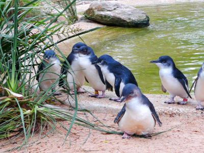 �����������U�Ťs����  �q�@�| �j���]����� ���P�p���Z8��