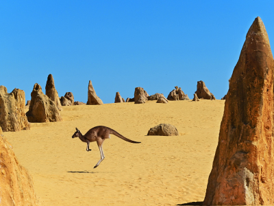 �Ū���D�B���Uù�S�����q �y�p�۰} �Ŧ�p�� �s���~�s6��