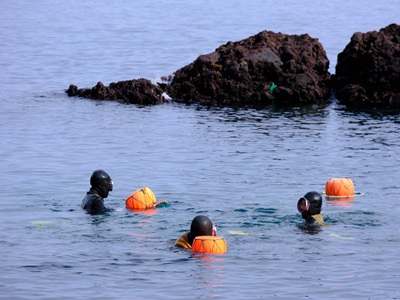 �i�w�������٦{���� ���i�H�x+�O�x�j�ɵ����P���ܰs��