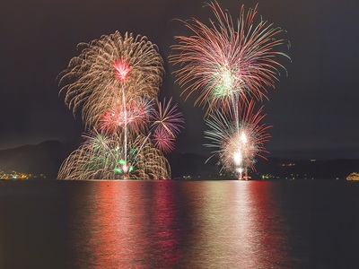 �}�ݴ����` ���s�ʪ��� �p��B�e �n�O�a����