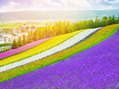 �L�M�s�s �y�P�r�� �n�O�a���� ���W������