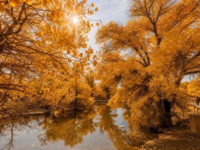 �i�����j���� ����J���L�j��ƥ�y�ҹ�10��(���n���)
