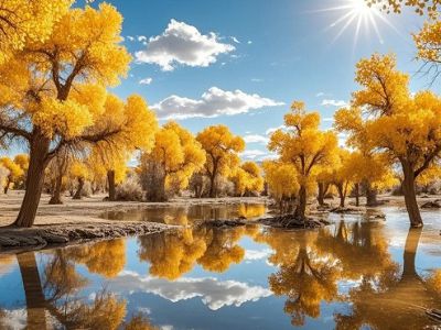 �i�j���næ ����J���L�j��ƥ�y�ҹ�13��(���)