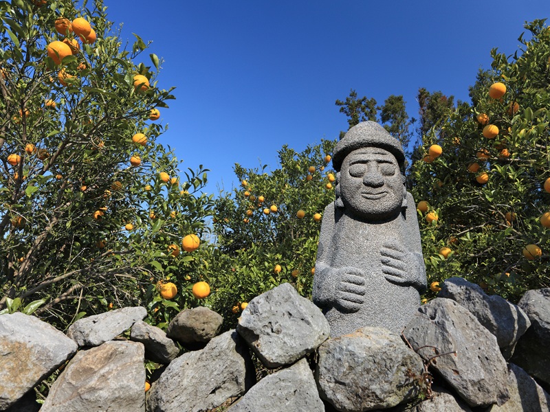��{�Ӥ�