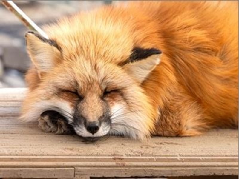 �ů�i�F�_�ä����W��+�Ȥs�Ŭu+���ֶ���5��j