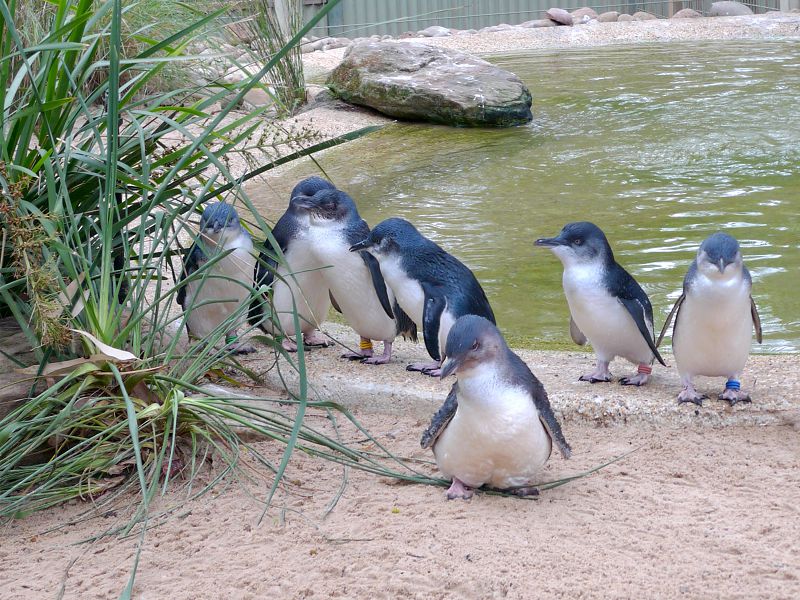 ��{�Ӥ�