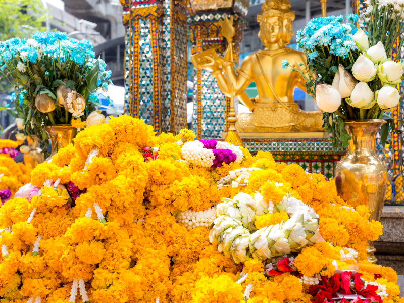 ��{�Ӥ�