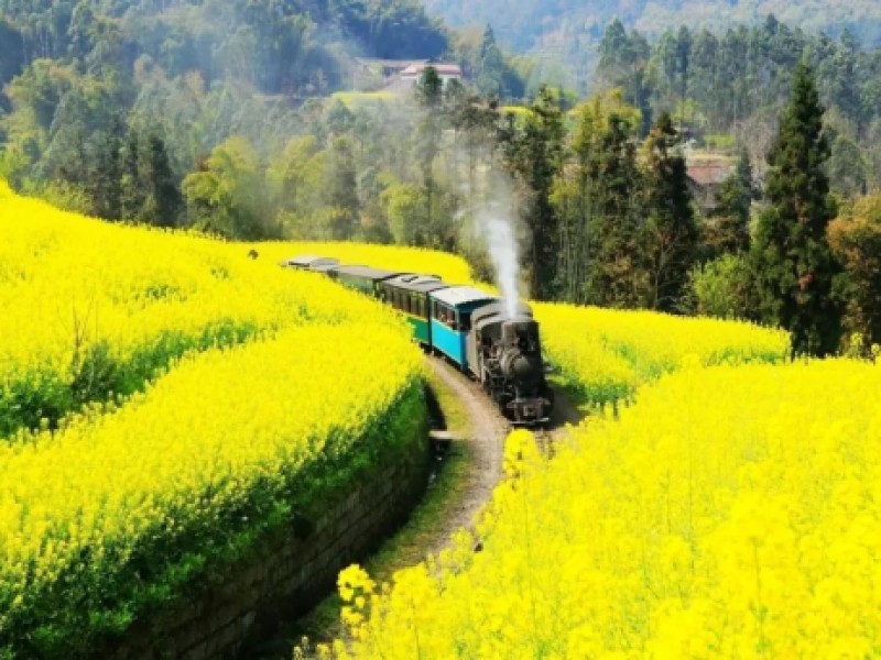 ��{�Ӥ�
