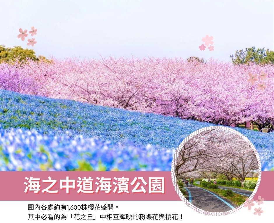 行程特色圖片