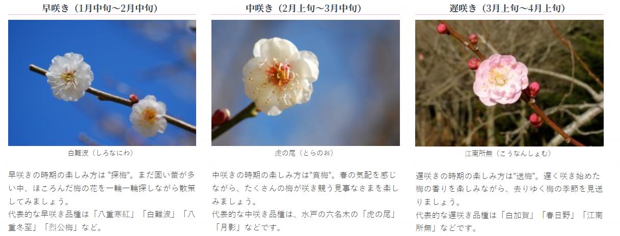 行程特色圖片