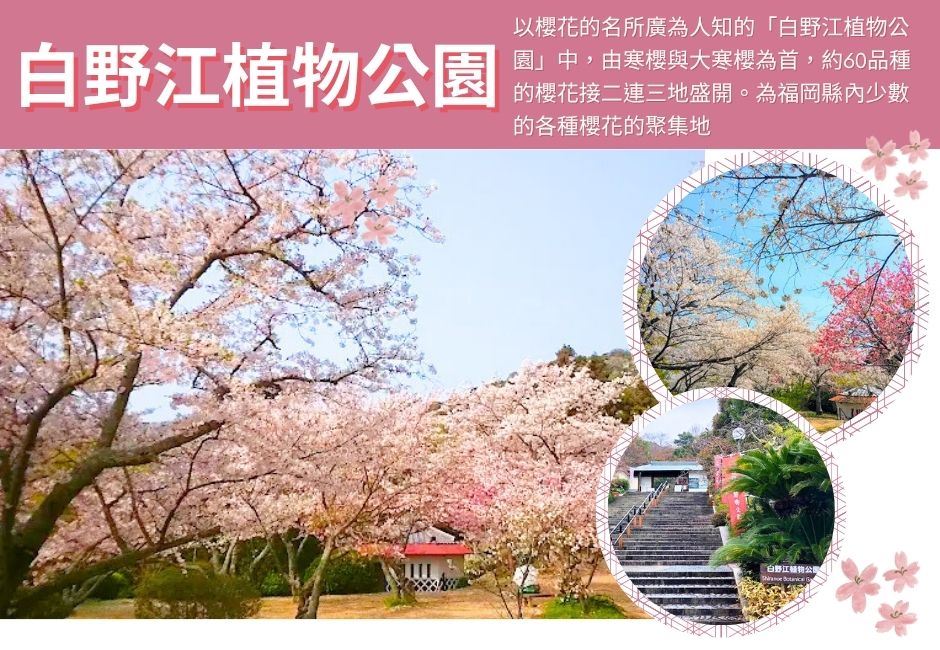 行程特色圖片