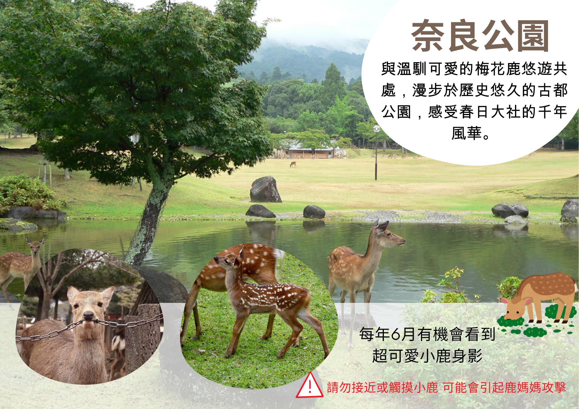 行程特色圖片