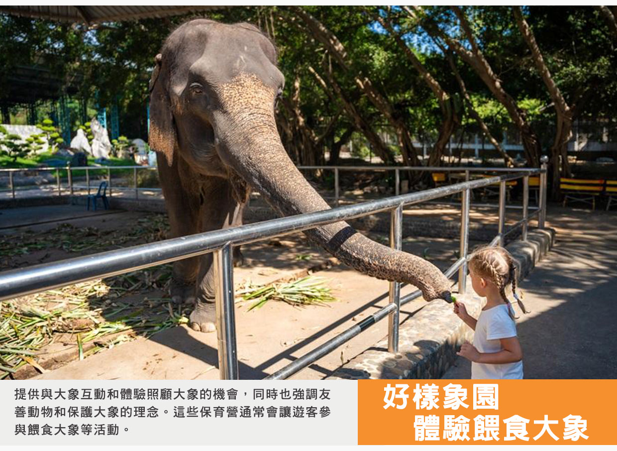 行程特色圖片